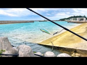 逆に小さいルアーで大物狙い続けた結果…