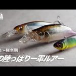 晩秋〜冬の陸っぱり一軍ルアー【バス釣り】