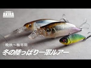 晩秋〜冬の陸っぱり一軍ルアー【バス釣り】
