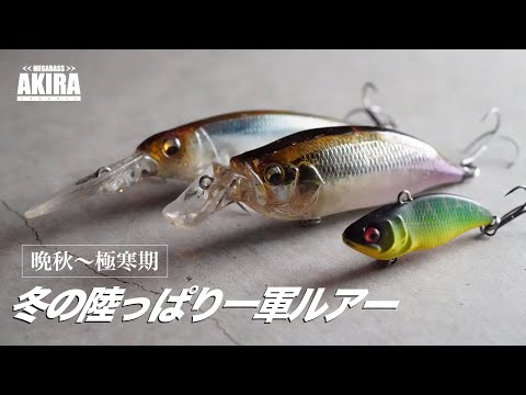 晩秋〜冬の陸っぱり一軍ルアー【バス釣り】