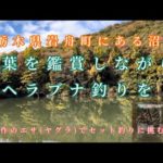 栃木県岩舟町　紅葉を鑑賞しながらへら鮒釣りを楽しむ！新エサ ヤグラを試してみたら優秀すぎて野良ネコに完食された⁉️