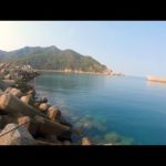 その辺の漁港だからと完全に泳がせ釣りをナメてました…