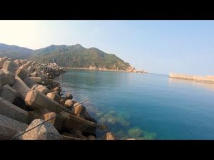 その辺の漁港だからと完全に泳がせ釣りをナメてました…