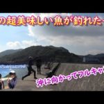 投げ釣りしたらあの美味しい魚が釣れたっ！