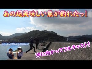 投げ釣りしたらあの美味しい魚が釣れたっ！