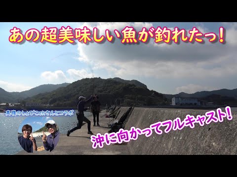 投げ釣りしたらあの美味しい魚が釣れたっ！