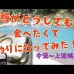 うなぎが食べたい！そうだ釣りに行こう！ウナギ釣り中流～上流編！釣果の秘訣はエサにあり！？驚愕の結果に！！！