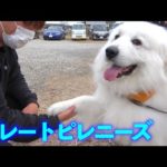 釣りよかイベントの常連さんをご紹介！！