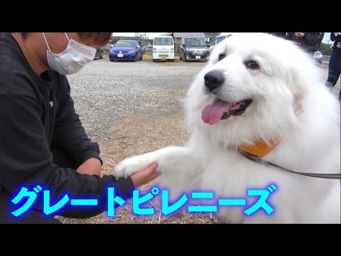 釣りよかイベントの常連さんをご紹介！！