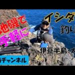 地磯で手軽にイシダイ釣り