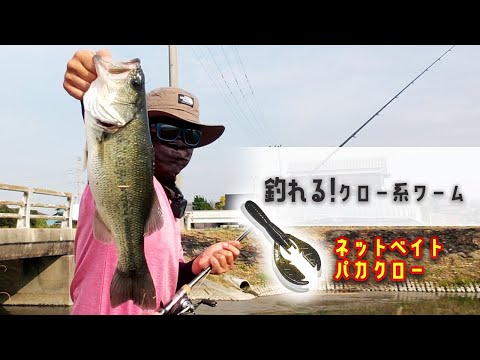 バス釣りで釣れるクロー系ワーム！ネットベイトパカクロー！！