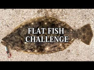 【岡山】ヒラメチャレンジ！初ゲットなるか!? フォロワー様に釣り方を教えてもらいました！！