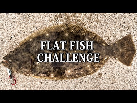 【岡山】ヒラメチャレンジ！初ゲットなるか!? フォロワー様に釣り方を教えてもらいました！！