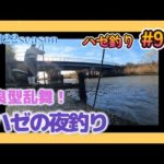 2022年【ハゼ釣り#91】良型ハゼは夜釣れる！？連日連夜の夜釣りをまとめてみた☆‗釣果情報