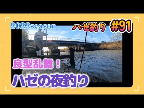 2022年【ハゼ釣り#91】良型ハゼは夜釣れる！？連日連夜の夜釣りをまとめてみた☆‗釣果情報
