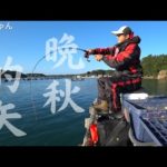 【かかり釣り】時間差攻撃⁉︎エサトリを激硬ダンゴでかわして良型チヌ ！　三重県志摩市 的矢フィッシングセンター 2022.11.27