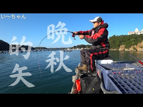 【かかり釣り】時間差攻撃⁉︎エサトリを激硬ダンゴでかわして良型チヌ ！　三重県志摩市 的矢フィッシングセンター 2022.11.27
