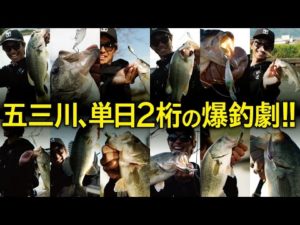 【バス釣り】単日２桁の爆釣劇!11月24日の五三川ソウルシャッドパターン /加木屋守