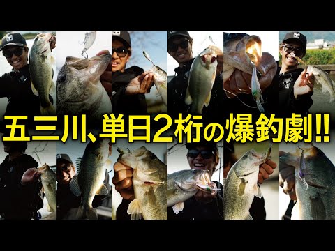 【バス釣り】単日２桁の爆釣劇!11月24日の五三川ソウルシャッドパターン /加木屋守