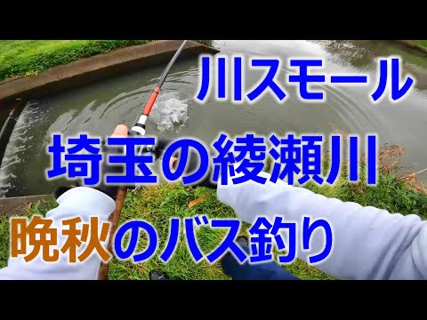 東京ルアー釣り、綾瀬川 晩秋編 ブラックバス 埼玉県草加市 (Tokyo Lure Fishing, Bass, 小口黑鱸)