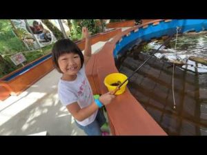 🦎イモリ釣り🦞ザリガニ釣り🎣ヤドカリ釣り
