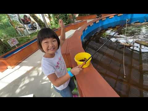 🦎イモリ釣り🦞ザリガニ釣り🎣ヤドカリ釣り