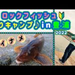 【ロックフィッシュ】アイナメを狙え！穴釣りガールの根魚釣りキャンプ♪