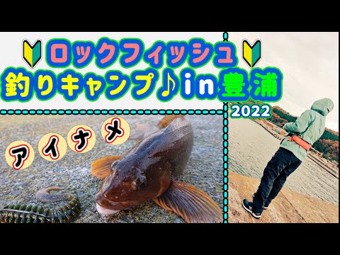 【ロックフィッシュ】アイナメを狙え！穴釣りガールの根魚釣りキャンプ♪