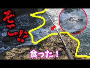 超足元で食いつく‼ダブルヒットで大喜び‼