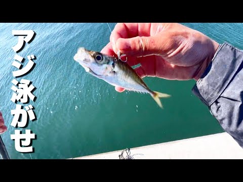 この最強の釣りを見て欲しい。