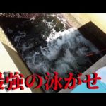 【大穴の王者】これ以上ない最強のアジの泳がせ釣りで動画史上初の大物キタ～
