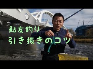 鮎釣り　引き抜きのコツ徹底解説【初心者必見】