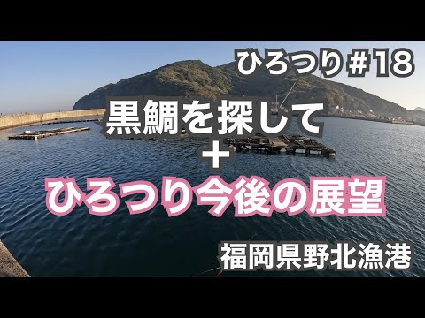 【堤防釣り】ひろつり＃18  黒鯛を探して＋ひろつり今後の展望　福岡県野北漁港