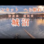 群馬県　館林市　城沼　サンセット　へら鮒釣り