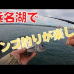 網干場でのんびりダンゴ釣り