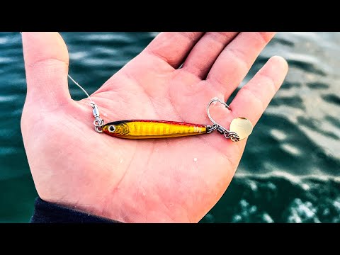 この釣りで衝撃の結末が待っていた...！！