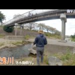 八王子 南浅川の五月橋で小物釣り。前から気になってた場所です。