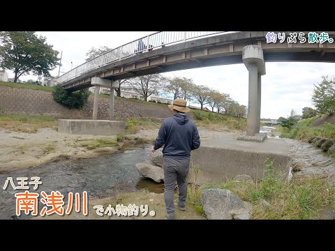 八王子 南浅川の五月橋で小物釣り。前から気になってた場所です。