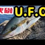 【カゴ釣り】磯からマグロを狙ってみた#コシナガマグロ#タルカゴ#海斗