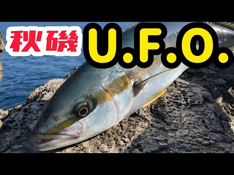 【カゴ釣り】磯からマグロを狙ってみた#コシナガマグロ#タルカゴ#海斗