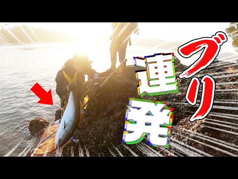 【爆釣】投げたら釣れる！こんな日もあります！