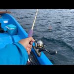 【LIVE】小一時間だけタイラバでハタ釣りやるよ