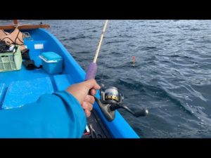 【LIVE】小一時間だけタイラバでハタ釣りやるよ