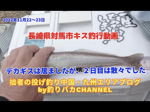 【投げ釣り】2022年11月22～23日　キス釣行動画in対馬