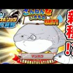 新種！？イラスト化した魚「ざんねんないきもの」を釣り上げろ！【釣りスピリッツ水族館】実況Part46