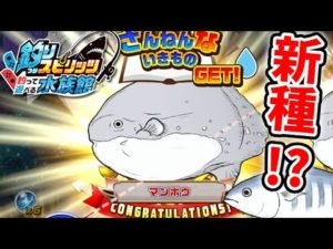 新種！？イラスト化した魚「ざんねんないきもの」を釣り上げろ！【釣りスピリッツ水族館】実況Part46