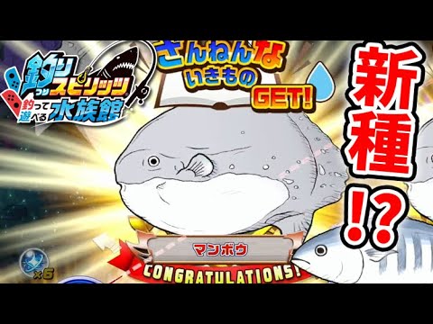 新種！？イラスト化した魚「ざんねんないきもの」を釣り上げろ！【釣りスピリッツ水族館】実況Part46