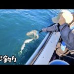 アジ釣りにおかんが久しぶりについてきた！