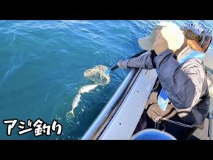 アジ釣りにおかんが久しぶりについてきた！