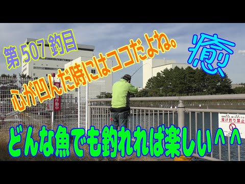 釣り動画ロマンを求めて 507釣目